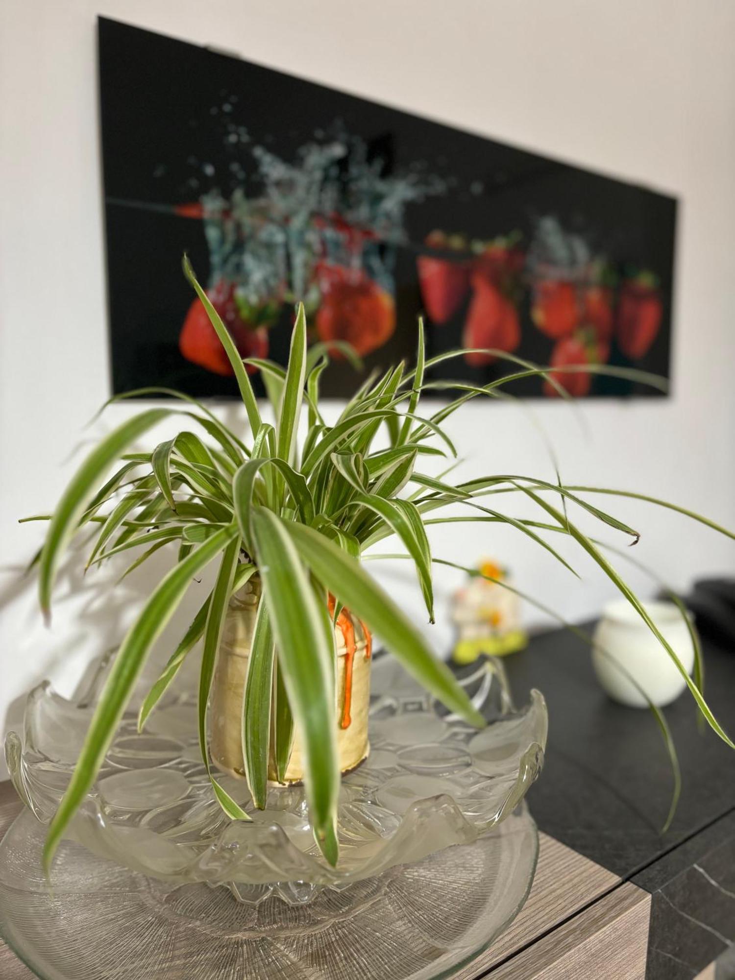 בולוניה Vivi Aguilera Apartament מראה חיצוני תמונה